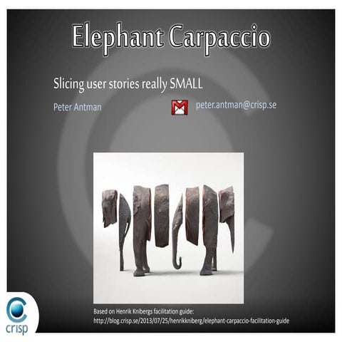 Facilitating the Elephant carpaccio exercise
