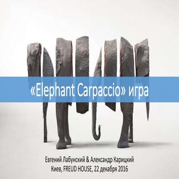 Elephant carpaccio extended