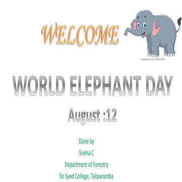 Elephant day