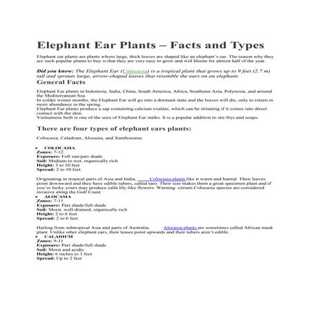 Elephant ear plants | PDF