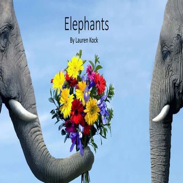 African Elephant powerpoint | PPTX