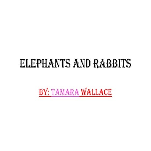 Elephants And Rabbits
