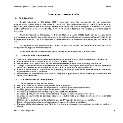 El esquema y diagrama ramificado