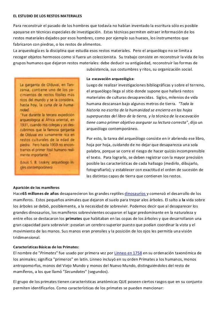 El Planeta De Los Simios En Orden El estudio del origen del hombre