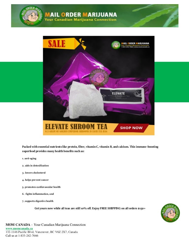 elevate shroom tea mom