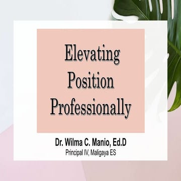 Elevating Position Professionally.pptx