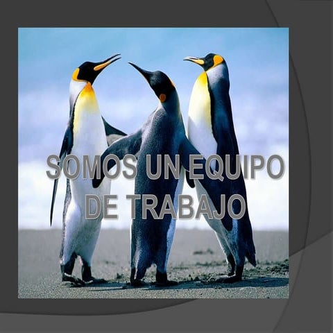 El exito de un vendedor