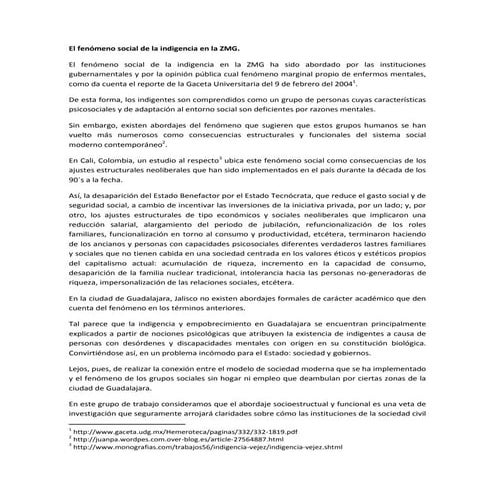 El fenómeno social de la indigencia en la Zona Centro de Guadalajar