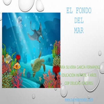 El mar. Presentación animales. www.tumeaprendes.com