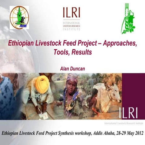 Ethiopian Livestock Feed Project – approaches, tools, results