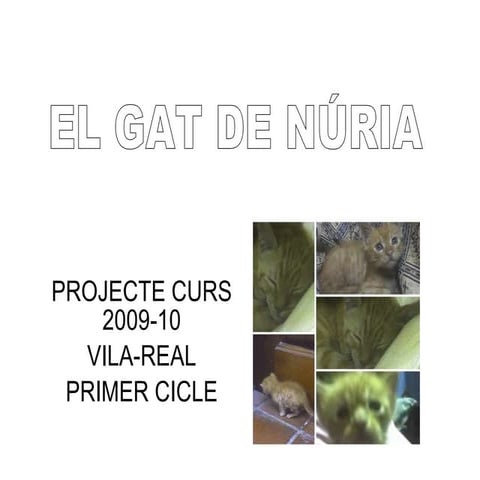 El gat de núria per a escriure