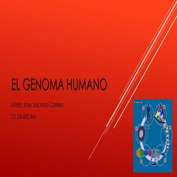 El genoma humano