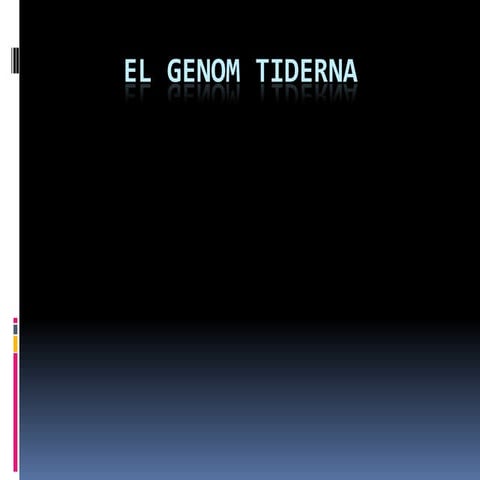 El Genom Tiderna