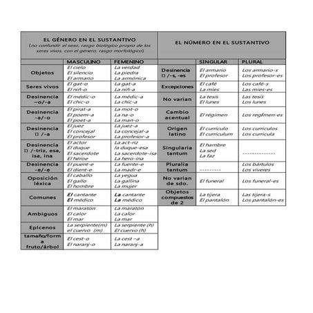 El género en el sustantivo