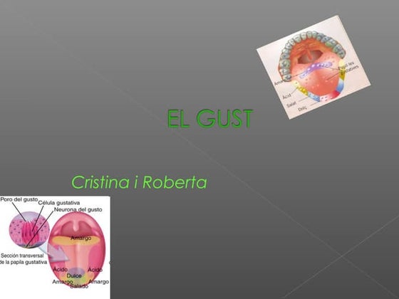L`Aparició Del Sentit Del Gust | PPTX