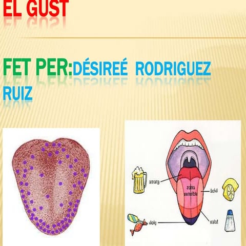 El gust | PPT