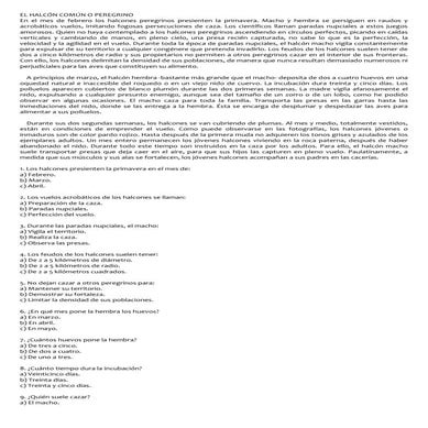 El halcón común o peregrinos