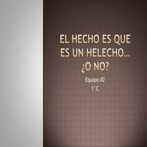 El hecho es que es un helecho 