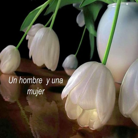 El hombre y la Mujer