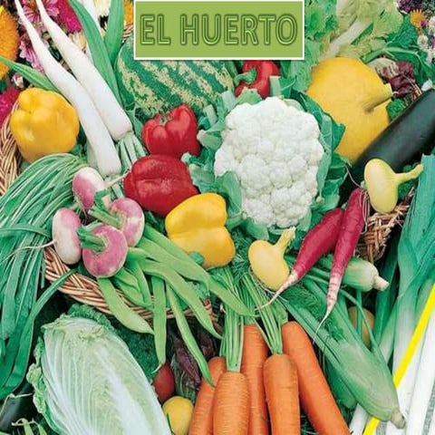 El huerto