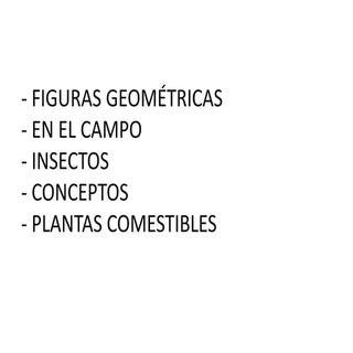 El huerto 3ª semana 22 26 abril