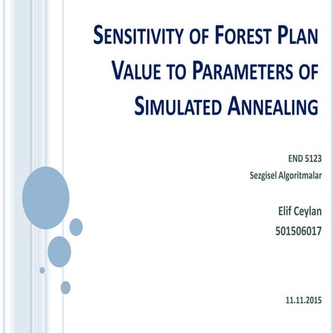Simulated Annealing sa sunum