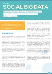 Social Big Data