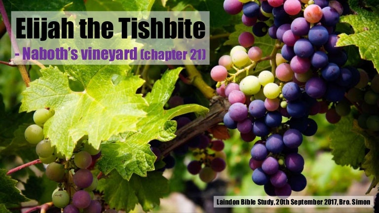 elijah-naboths-vineyard-1-kings-21
