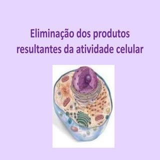 Eliminação dos produtos resultantes...