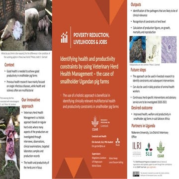 Identifying health and productivity constraints by using Veterinary Herd Heal...