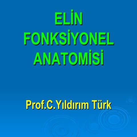 Elin fonksiyonel anatomisi (fazlası için www.tipfakultesi.org )