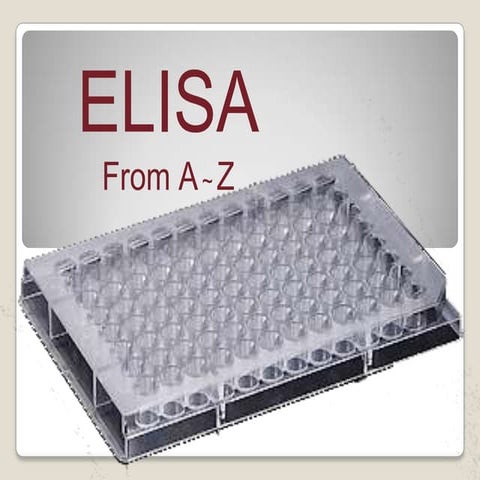 Elisa from A to Z