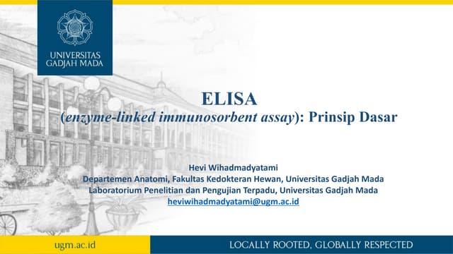 ELISA-Hevi-Wihadmadyatami-4-Maret2024.pdf