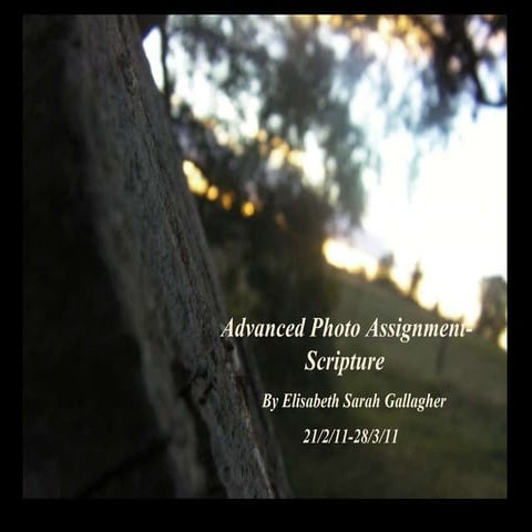 Scripture Photo Elisabeth G 2011