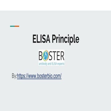 ELISA Principle, How it works 
