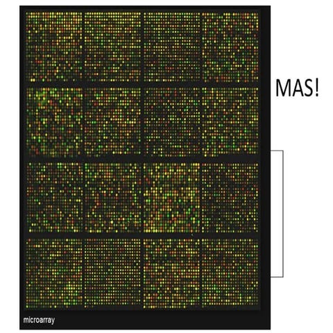 Clase 16 Resonancia Nuclear MagnéTica | PDF