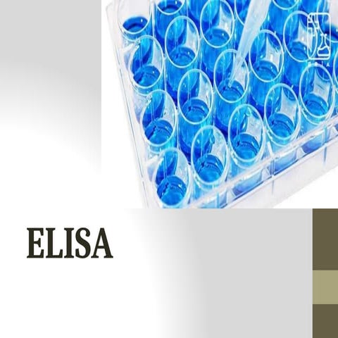 elisa ppt class-converted.pptx