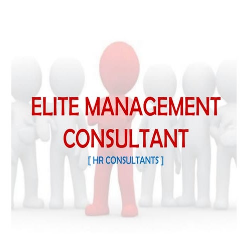 Elite Consultant