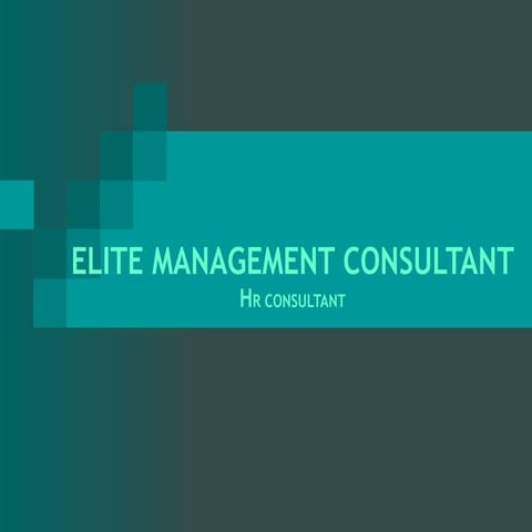Elite Management Consultant