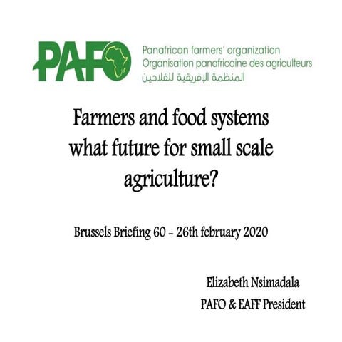 Brussels Briefings n.60; Elizabeth Nsimadala: Farmers and food systems: What ...