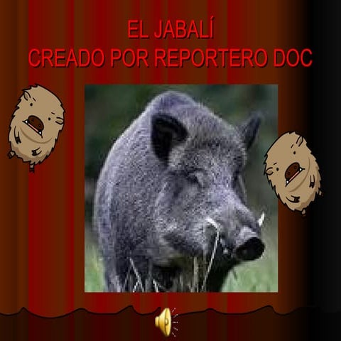 El jabalí ii