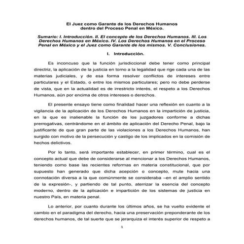 El juez como garante de la proteccion de los ddhh_IAFJSR | PDF