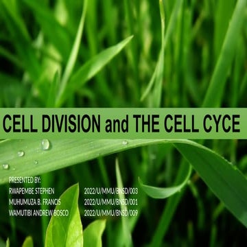 ELL DIVISION with all needed content.pptx