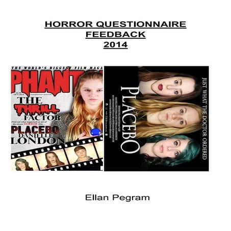 Evaluation Question 3