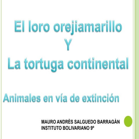 El loro orejiamarillo y la tortuga continental (animales en vía de extinción)