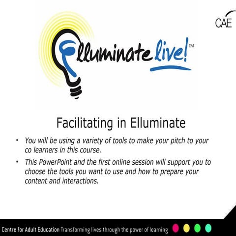 Elluminate Facilitation Tips
