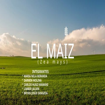 caracteristicas y fisiologia del maiz y su entorno medio ambiental