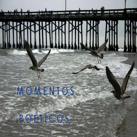 MARINERO EN TIERRA1, Rafael Alberti