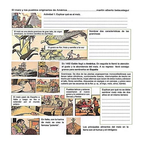 El maíz y los pueblos originarios de América