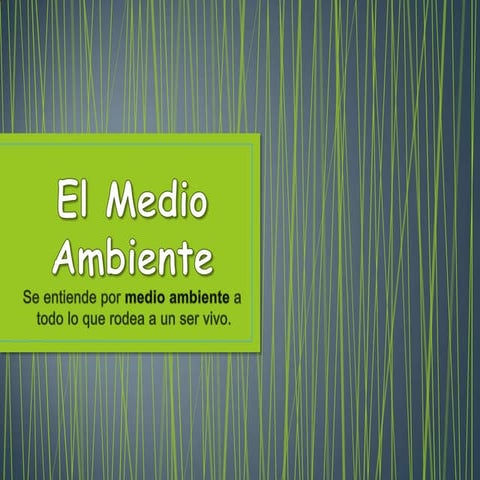 El medio ambiente KARC